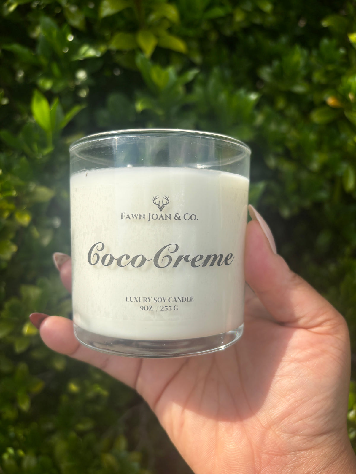 Coco Creme