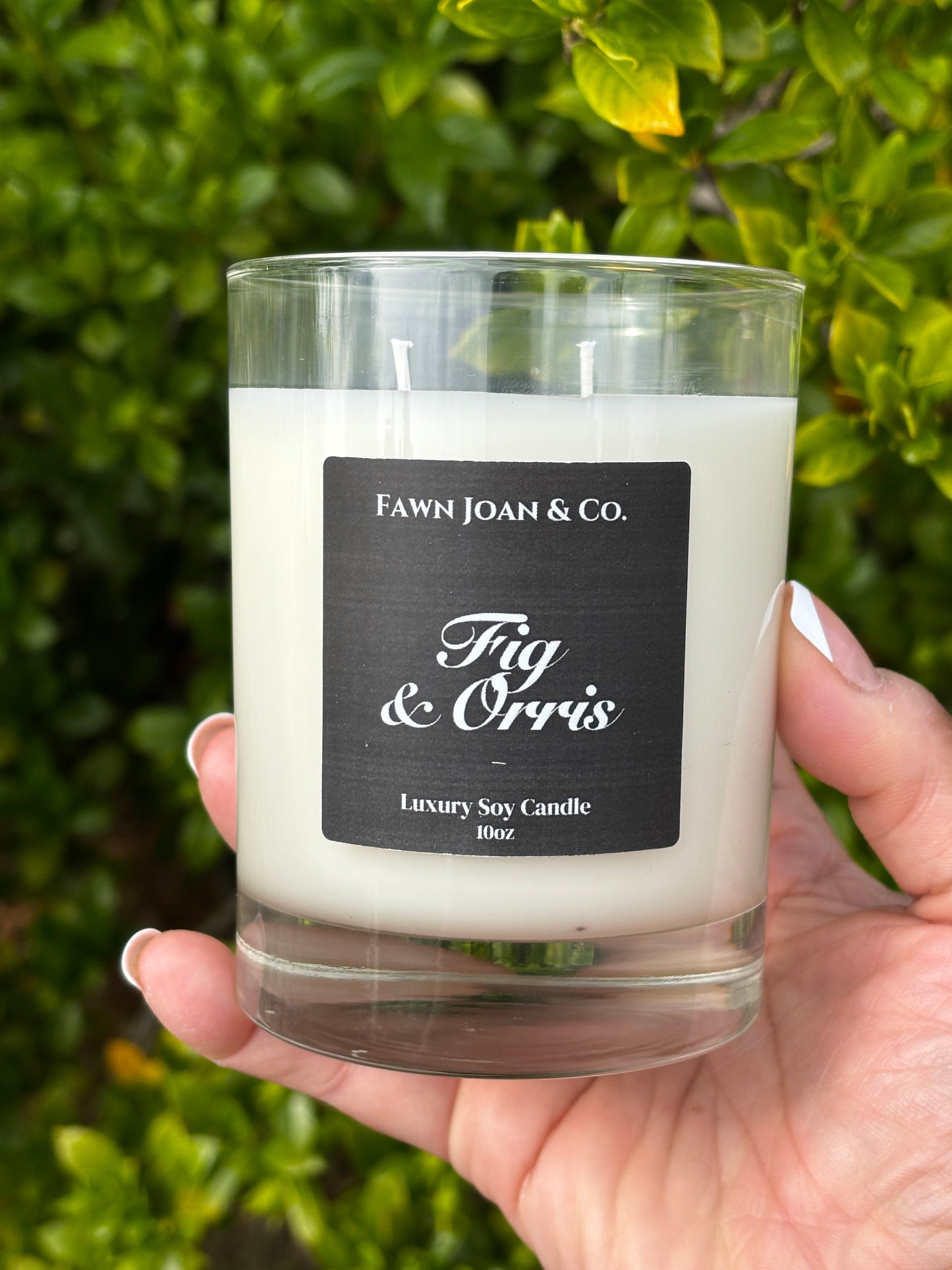 Fig & Orris